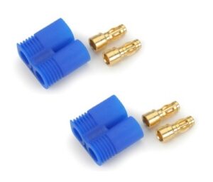 spinotti dorati maschi 3