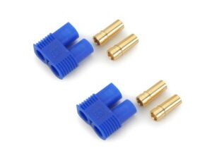 spinotti dorati femmine 3