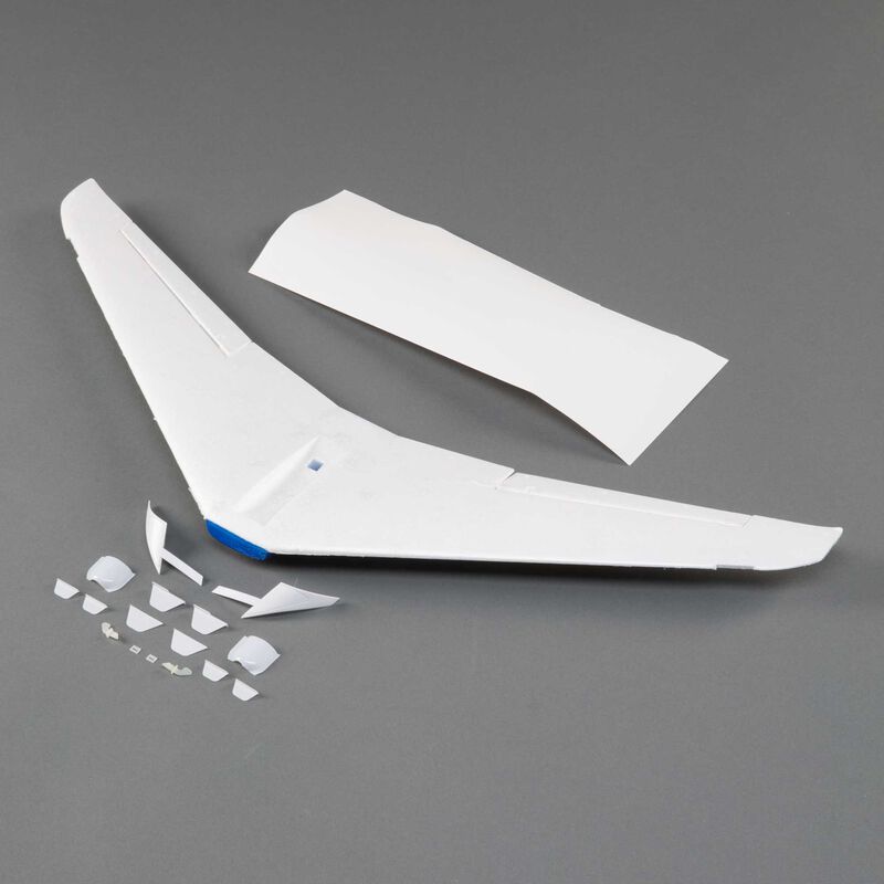 Painted Wing: Citation Longitude