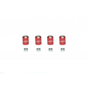 Body Post Marker (Red) ARROWMAX (Spezial-Werkzeug)