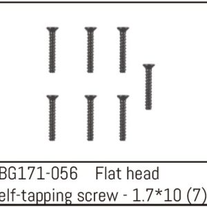 Countersunk Screw M1.7*10 (7)