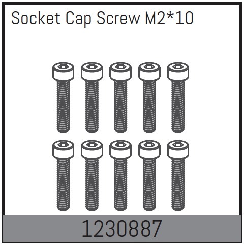 M2*10 Socket Cap Screw Set (10)