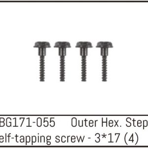 Outer Hex. Step Self-Tapping Screw M3*17 (4)