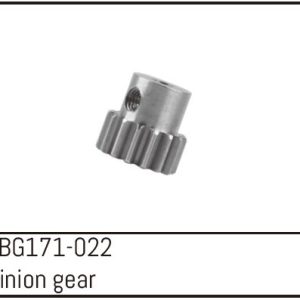 Pinion Gear