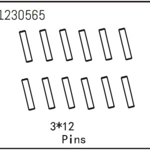 Pins 3*12 (12)