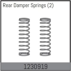 Rear Damper Spring (2)