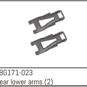 Rear Lower Arms (2)