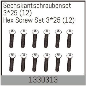 Hex Screw Set 3*25 (12)