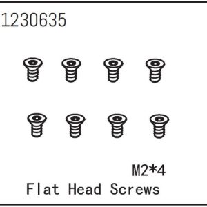 Flat Head Screw M2*4 (8)
