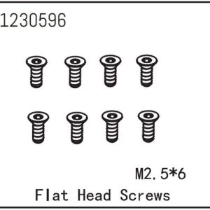 Flat Head Screw M2.5*6 (8)