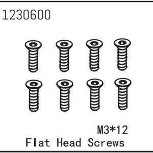 Flat Head Screw M3*12 (8)