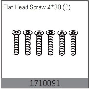 Flat Head Screw 4*30 (6)