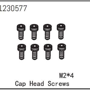 Cap Head Screw M2*4 (8)