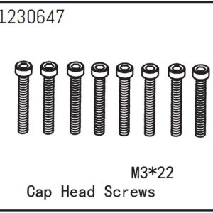 Cap Head Screws M3*22 (8)