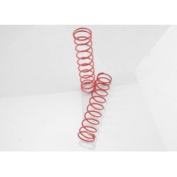 Molle Posteriori Rosse (2.9 Rate) (2)