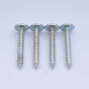 BH PH2 Self Tap 5x32 mm